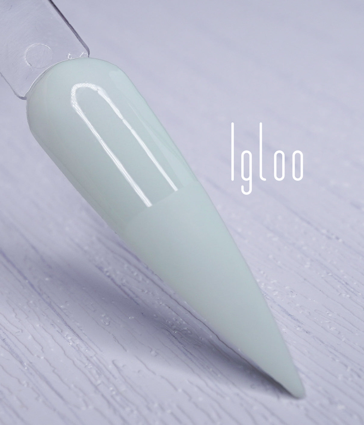 Igloo 557