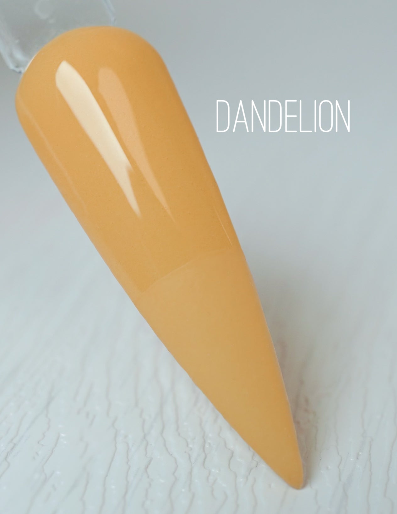 Dandelion 781