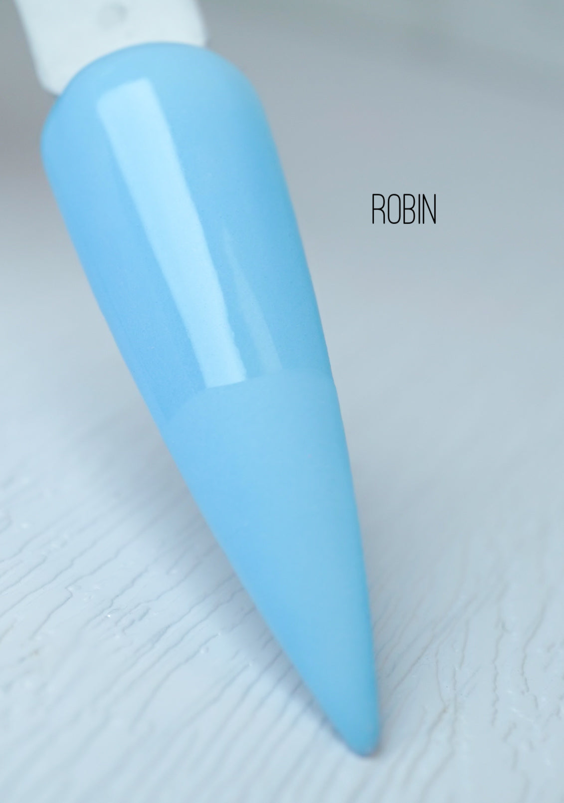 Robin 082