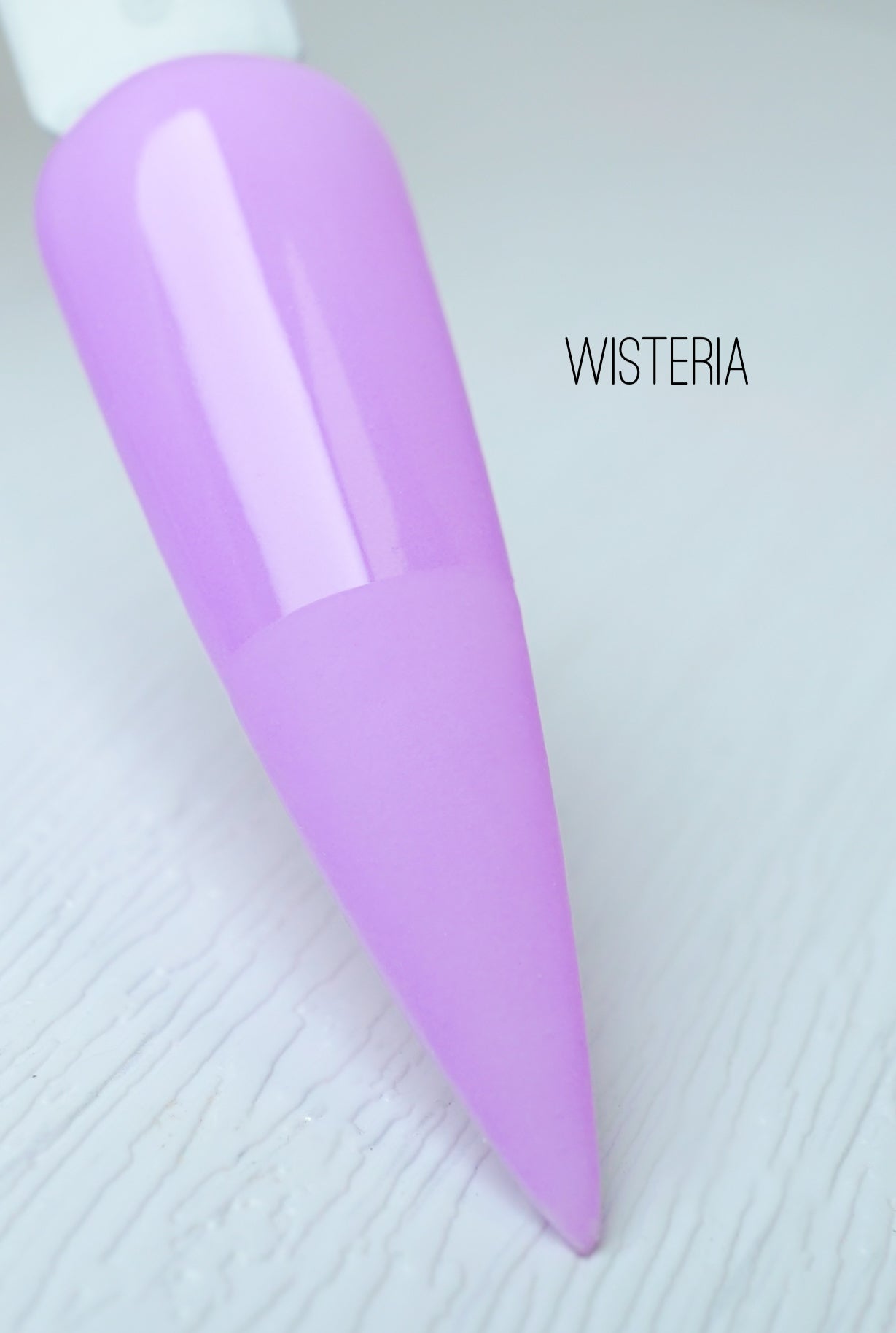 Wisteria 083