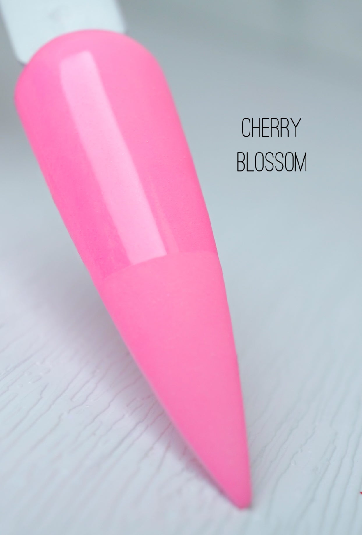 Cherry Blossom 078