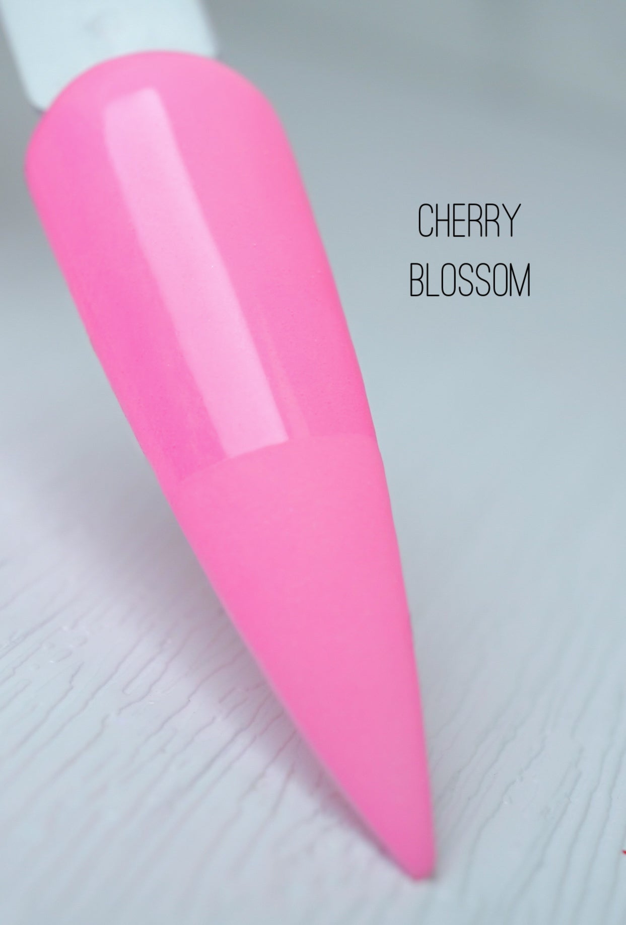 Cherry Blossom 078