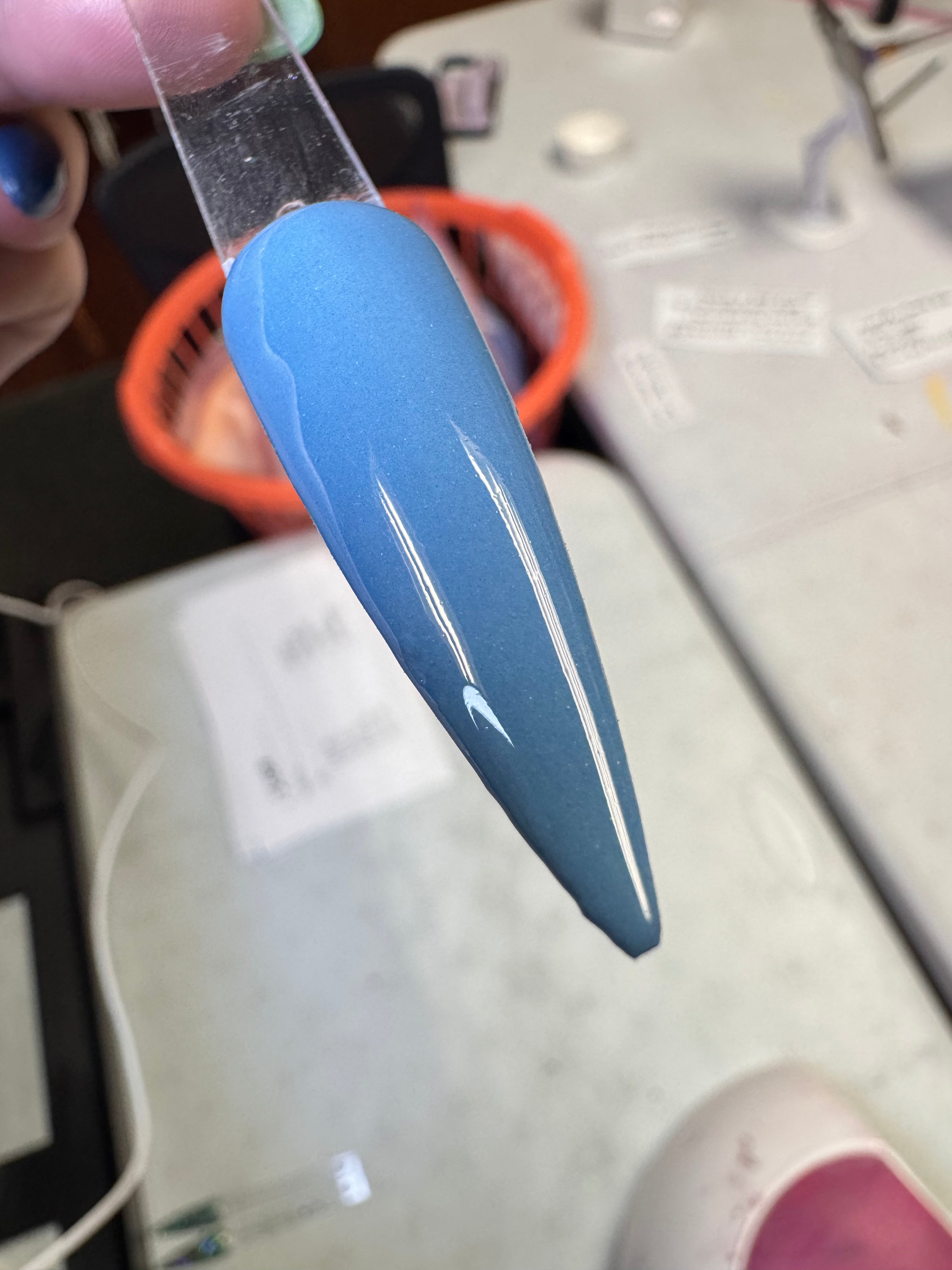 Cornflower Blue 1008