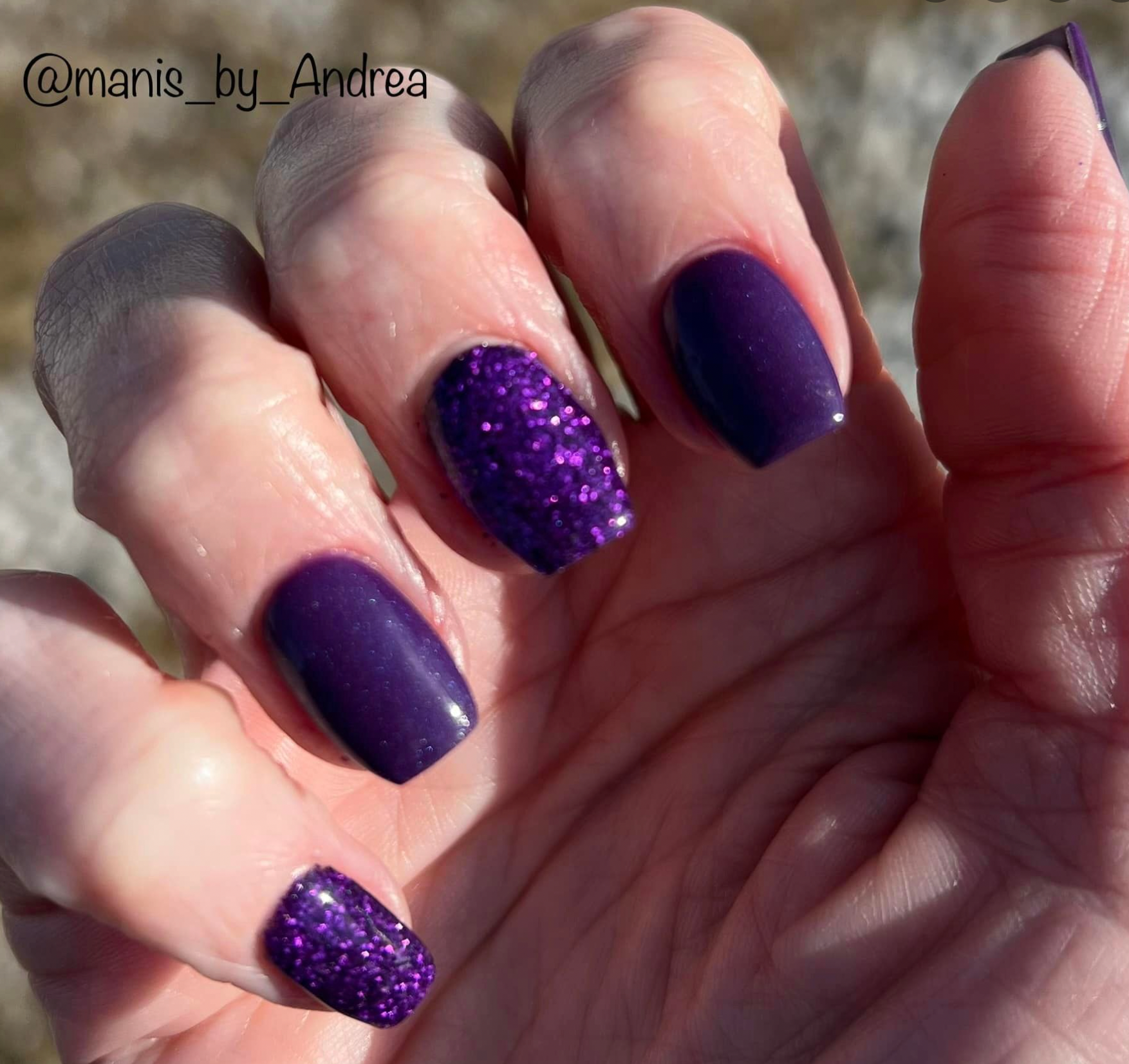 Boysenberry 377