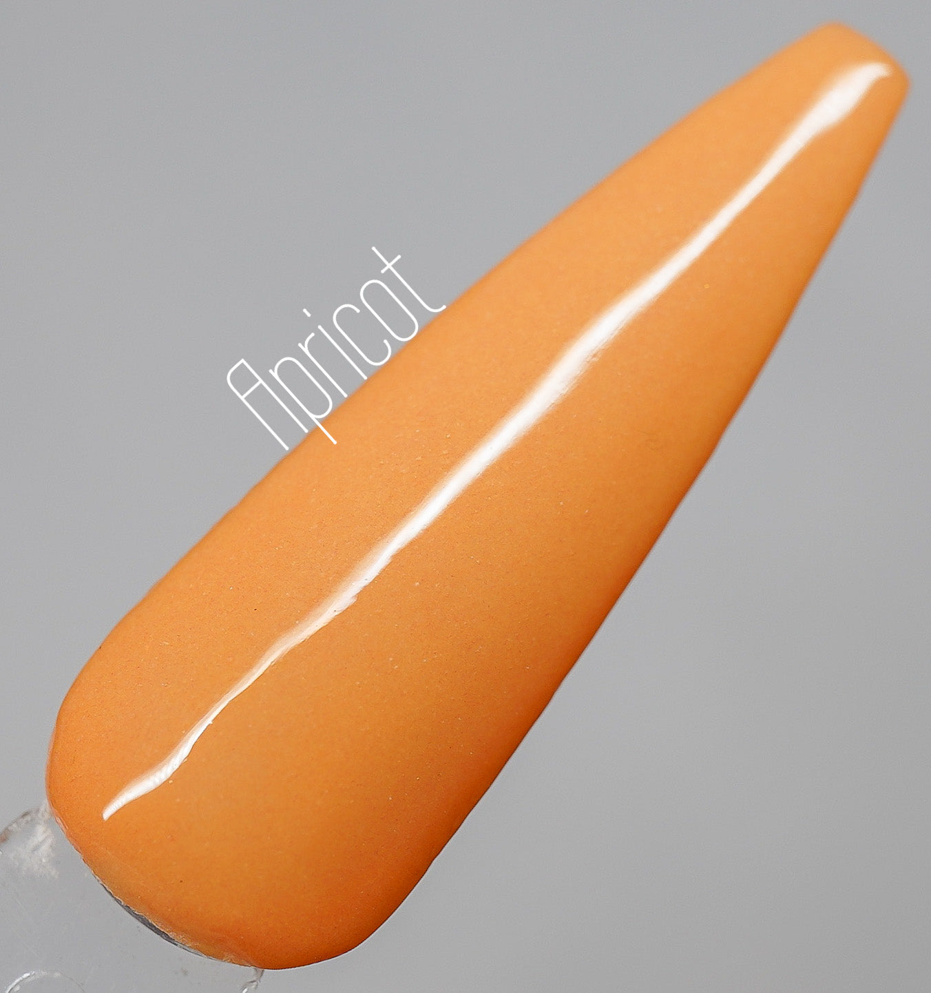 Apricot 445 -R