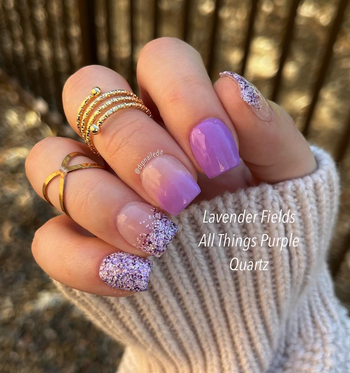 Lavender Fields 497