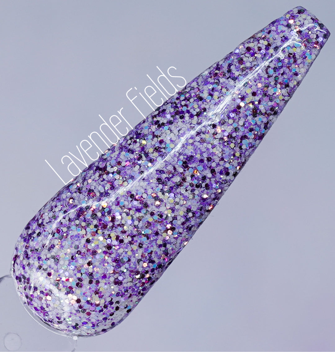 Lavender Fields 497