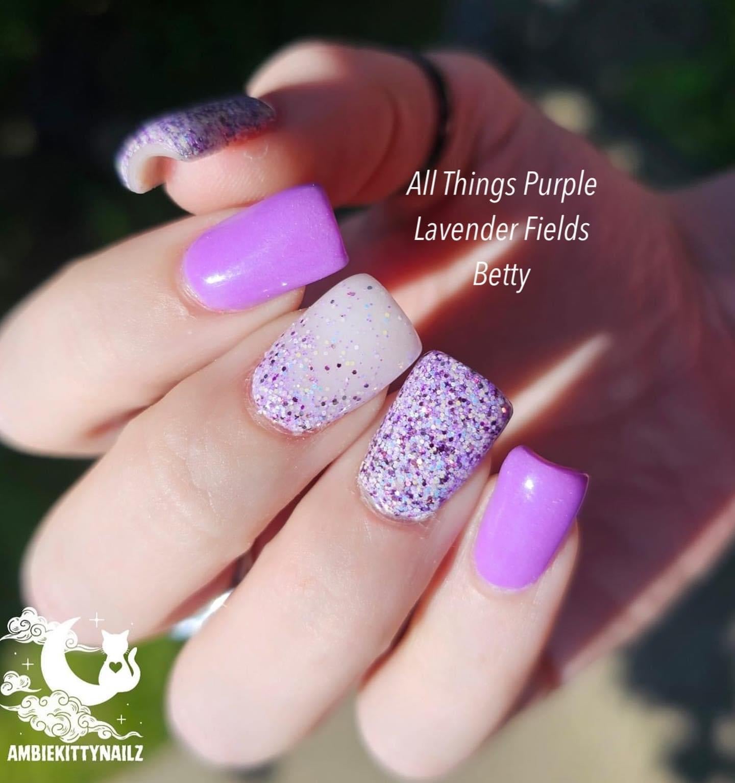 Lavender Fields 497