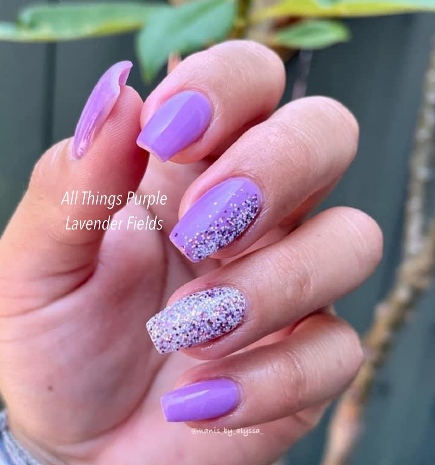 Lavender Fields 497