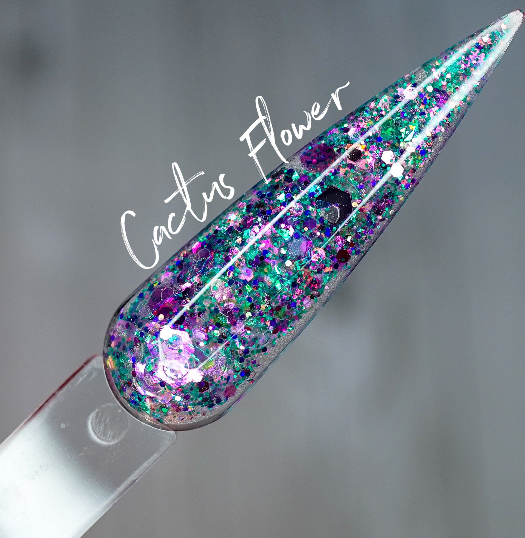 Cactus Flower 304