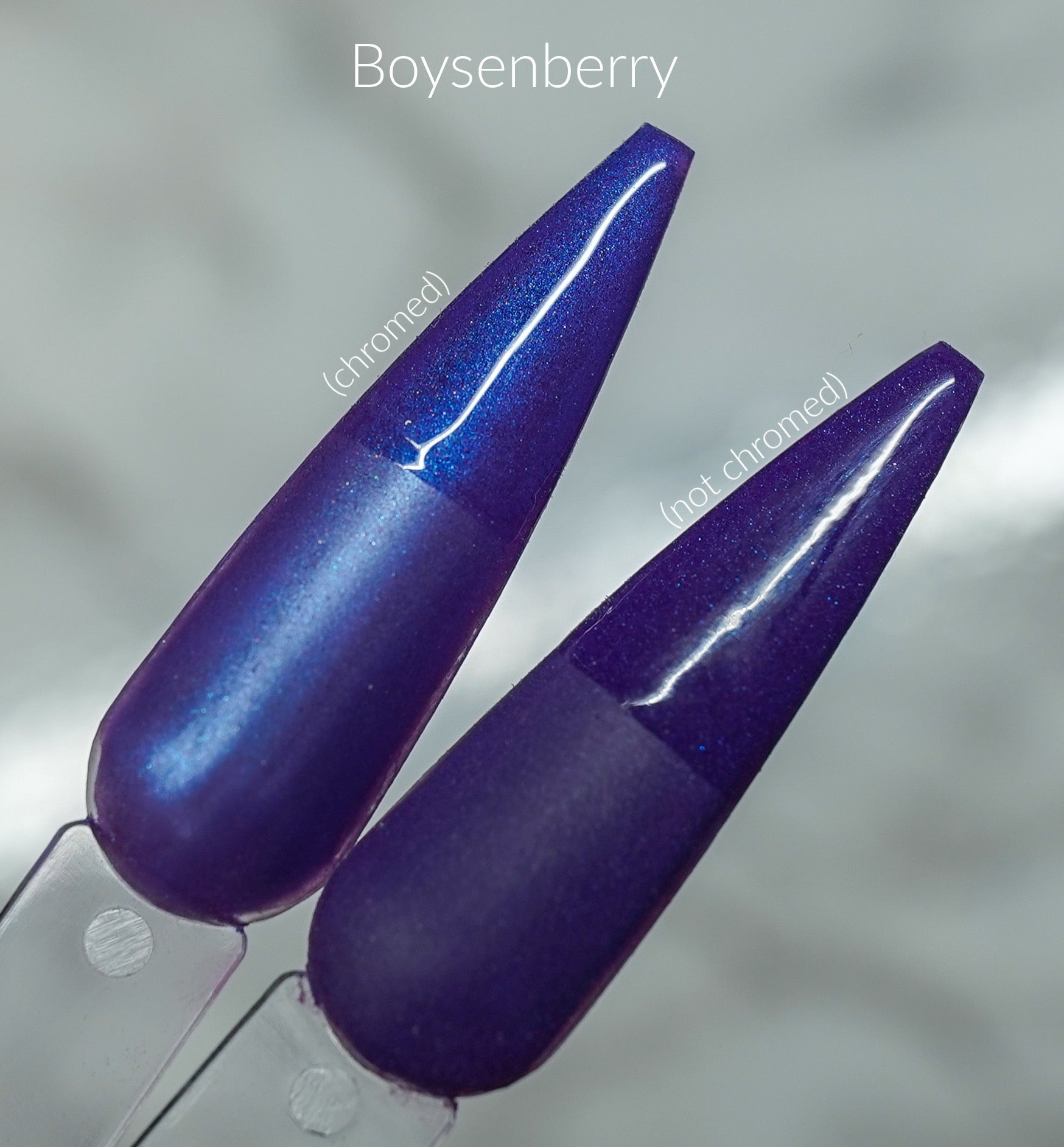 Boysenberry 377