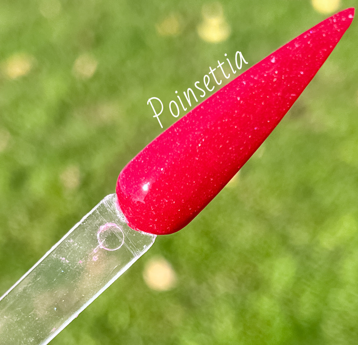 Poinsettia 226