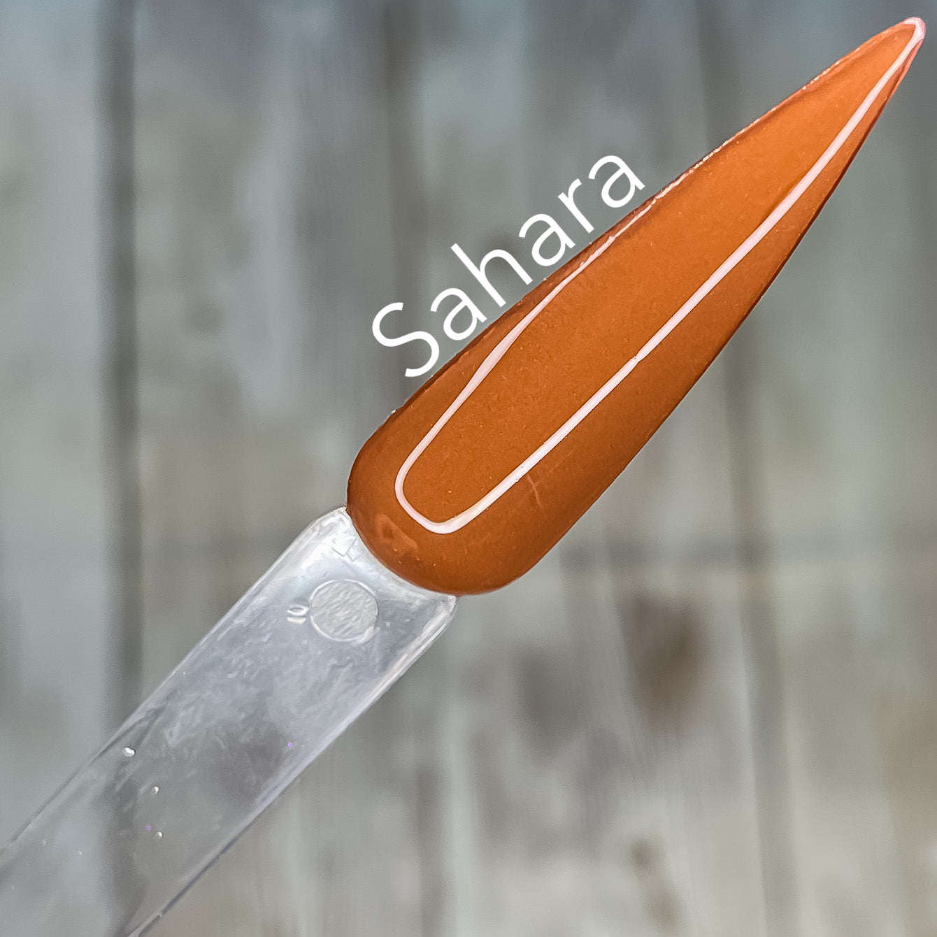 Sahara 175