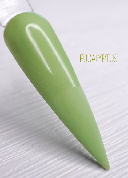 Eucalyptus 675