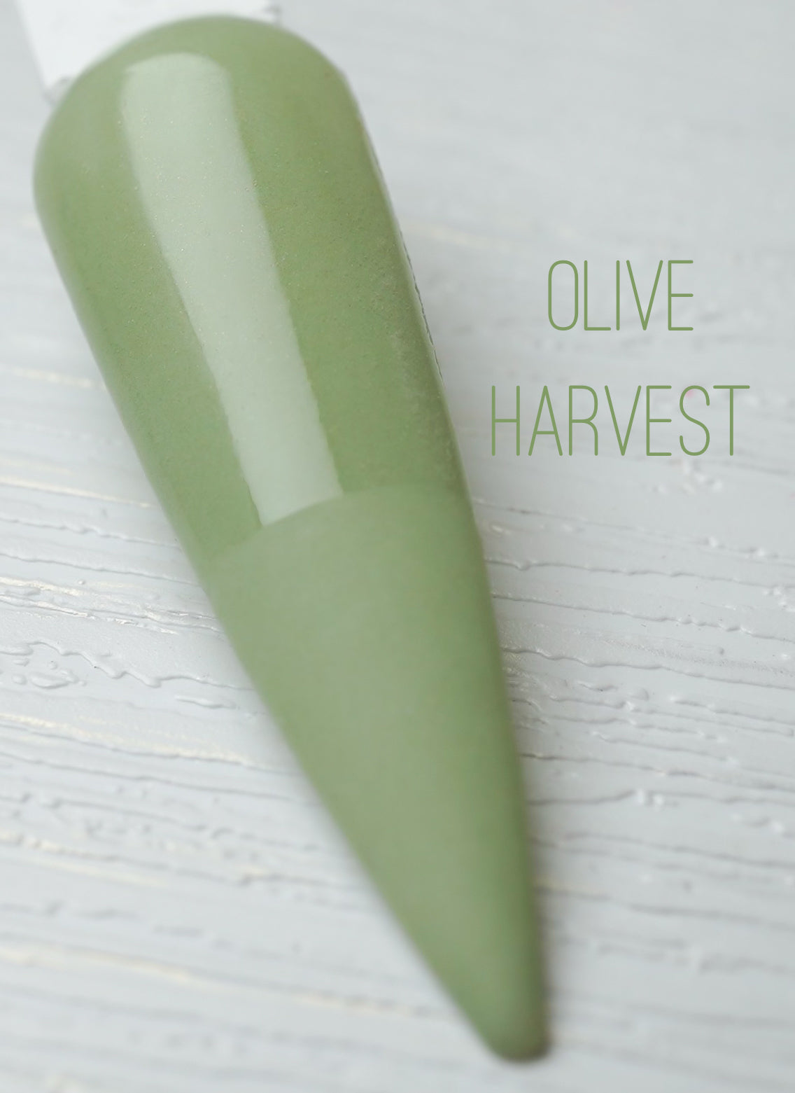 Olive Harvest 848