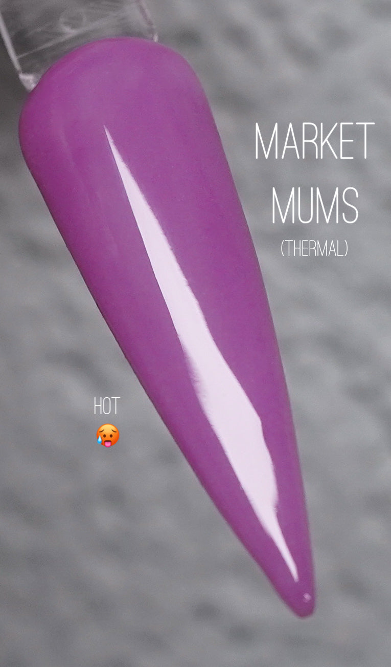 Market Mums (Thermal) 1146