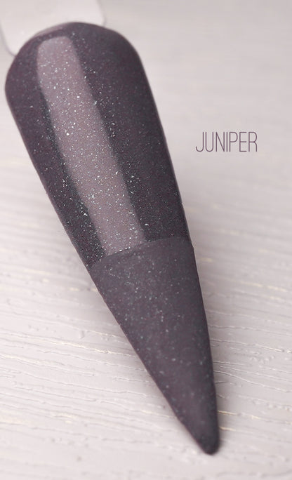 Juniper 876