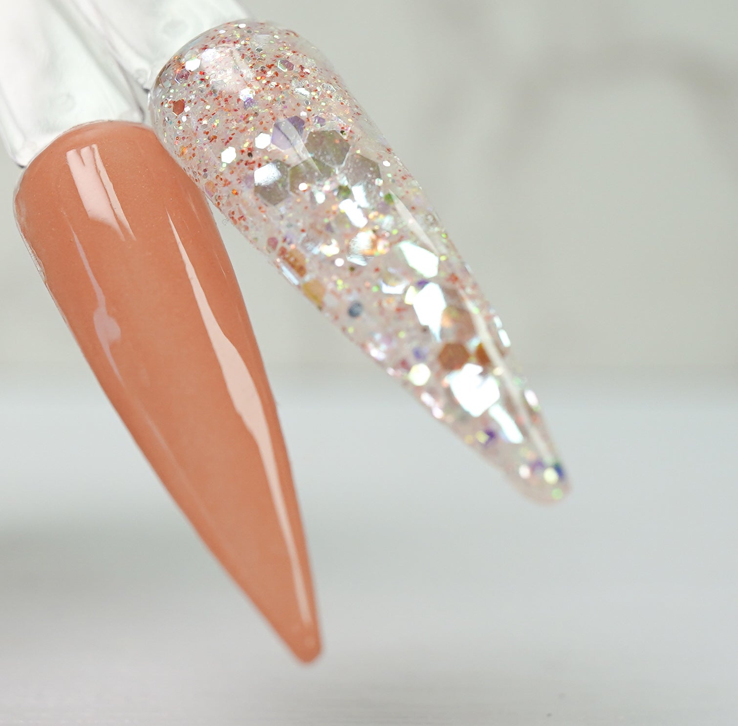 January Duo - Empress 925 & Crown Jewel 926