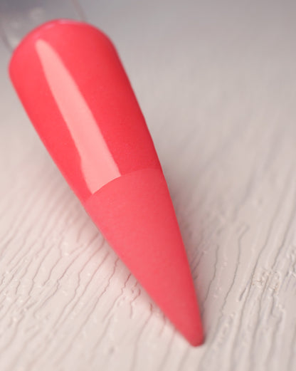 Let's Flamingle 664