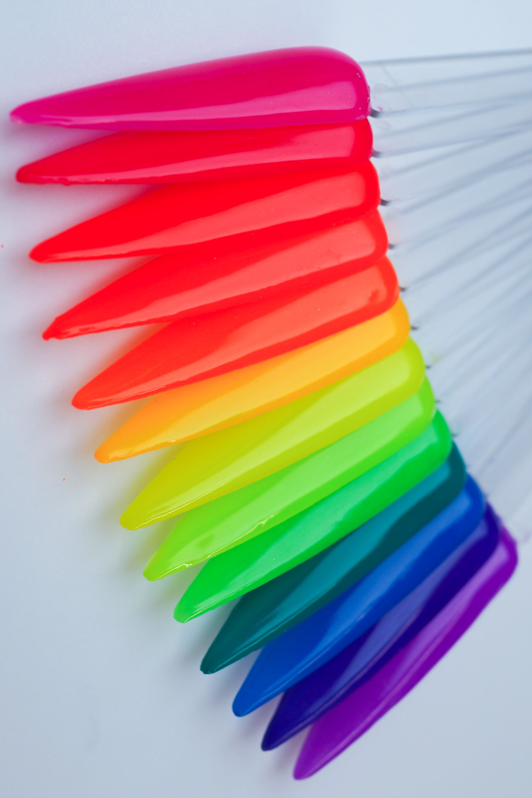 Vivid Rainbow Collection