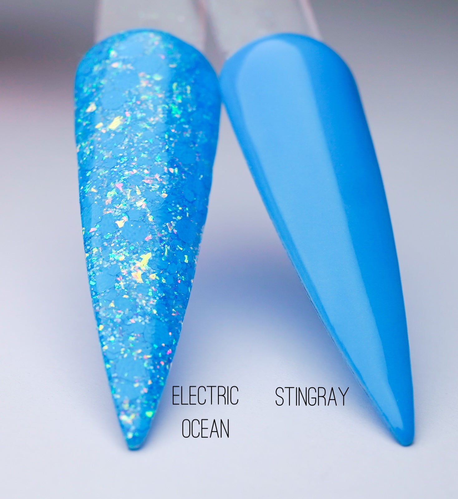 June Duo - Stingray 1053 & Electric Ocean 1054