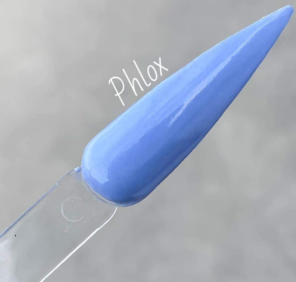 Phlox 074
