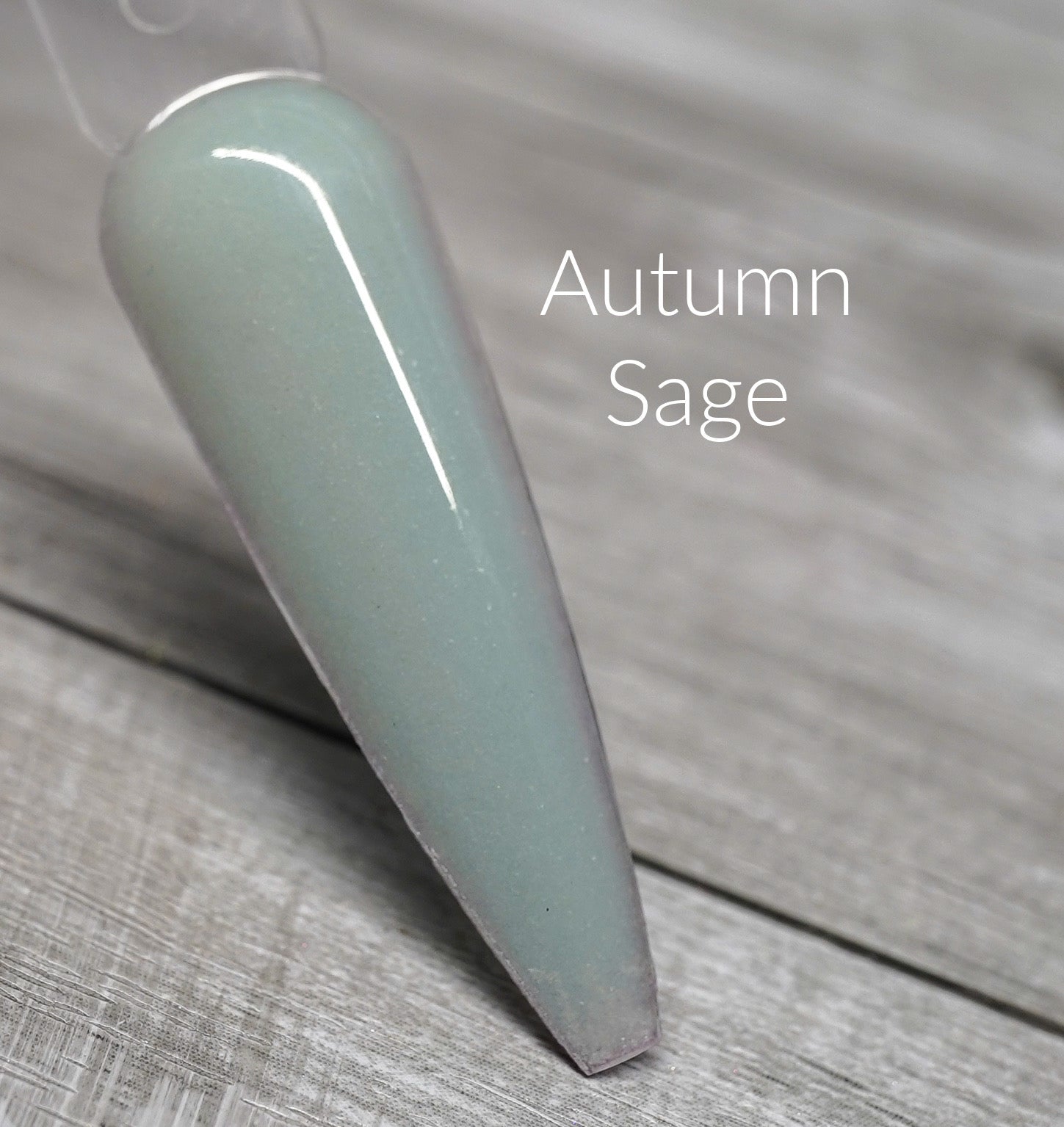 Autumn Sage 368