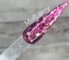 Load image into Gallery viewer, Mulberry 163
